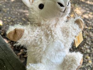 Handpuppe "LAMA"