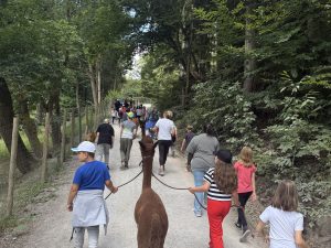 Ferienprogramm für Kinder & jung gebliebene Erwachsene